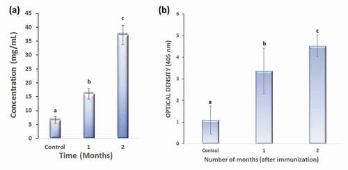 Figure 1. (a) Protein concentration in the control and experimental groups (by month).(b) Indirect ELISA of the M2e-specific IgY antibody.