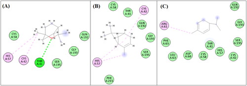 Figure 3. 2D-Binding diagrams of eucalyptol (A), α-pinene (B) and α-phellandrene (C) on the active site of elastase enzyme.