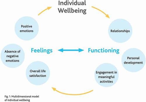 Figure 3. wellbeing overview used in secondary school lessons; reproduced with permission from Cambridge Assessment International Education (2020).