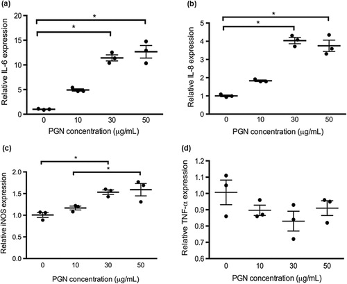 Figure 3. Cytokine gene expression in response to different dosages of PGN in primary chicken intestinal cells. The cells were treated with commercially available PGN at 10, 30 and 50 μg/mL for 3 h. Relative quantitation of gene expression was measured by quantitative RT-PCR in three samples represented by each dot. The horizontal bars represent means and SE. *P < 0.05. IL, interleukin; iNOS, inducible nitric oxide synthase; TNF-α, tumour necrosis factor α.