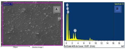 Figure 7. (A) The SEM image of Ag-PMMA NC, (B) EDS spectrum of Ag-PMMA NC.