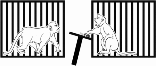 Figure 5. Stealing. A monkey taking the partner’s outcome to maximize its preference.