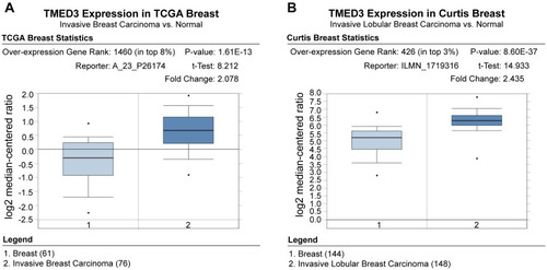 Figure 1 Box plots showing upregulation of TMED3 mRNA expression in breast cancer tissues relative to normal breast tissues; source: www.oncomine.org.Notes: (A) The Cancer Genome Atlas (TCGA) dataset: 76 breast cancer tissues and 61 normal breast tissues. (B) Curtis et al: 148 breast cancer tissues and 144 normal breast tissues.