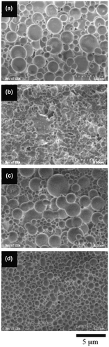 Figure 8. The morphological changes in the spherical vesicles of the 1.1-mol% SpMA copolymer (BC-11) by soaked in PAH solutions of different concentrations; AH/SpMA = (a) 0, (b) 2.5, (c) 5.0 and (d) 10.0.