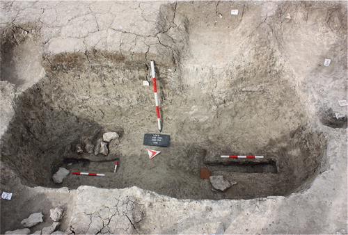 fig 5 A view of the western doorway of Hall B (Phase 3) showing structural detail at the base of the massive retaining pit. The rectangular planks of the two door posts are clearly visible in the configuration of stone packing material. Vertical scale: 1 m. Photograph © Lyminge Archaeological Project.
