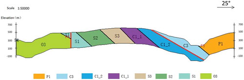 Figure 15. Section from the 3D geological model constructed.