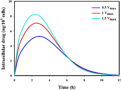 Figure 12. Sensitivity analysis on the transmembrane rate of DOX (a 50% increase or a 50% decrease).