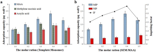 Figure 5 . (a) Adsorption capacity of MIP formed by different functional monomers, (b) Adsorption capacity and imprinting factor of MIP formed by SEM and MAA at different molar ratios.