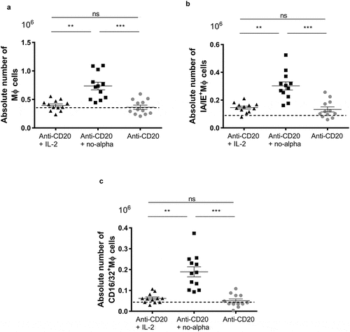 Figure 6. Increase in the macrophages number in animals receiving the anti-CD20 + no-alpha mutein combination therapy. (a), Mice treated with anti-CD20 + no-alpha mutein increased the absolute number of MΦ (CD11b+CD11c−Gr1lo F4/80+) cells. Absolute numbers of spleen MΦ expressing IA/IE class II molecules (b), and FcγRII, FcγRIII (CD16/32) and FcγRIV (c) from C57Bl/6 mice analyzed by flow cytometry 14 days after challenge with 2 × 105 EL-4-huCD20 cells and receiving different treatments. Dotted lines represent the mean values obtained with isotype control-treated C57Bl/6 mice for the indicated population. Data correspond to two independent experiments (n = 5–7 per group). Horizontal bars represent the mean ± SD (Kruskal-Wallis, Dunn’s post hoc test, *, P < .05; ***, P < .001; ns: not significant).