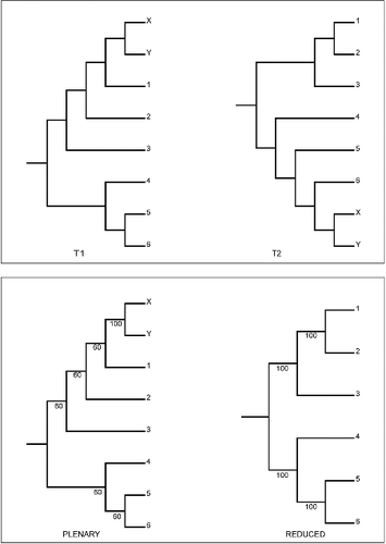 Fig. 3. Third example of the behaviour of RNR: dropset size. The alternative tree topologies (T1 & T2) differing only in the position of a rogue cherry comprising leaves X & Y. The lower panel shows the plenary and a reduced majority-rule consensus for a set of 60 copies of T1 and 40 copies of T2. ΣS is identical (400) for the plenary and the reduced consensus and thus RNR does not identify X and Y as rogue. If instead there are 59 copies of T1 and 41 of T2 then ΣS is lower (395) for the plenary consensus and RNR identifies X and Y as rogue if the dropset size is higher than the default. At the default setting X and Y are never identified as rogues.