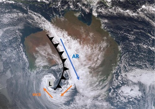 Figure 1. Himawari-8 satellite image over Australia (01:47UTC 22nd June, 2021) with authors own edits labelling the WCB (orange arrows) and AR locations (blue arrow) relative to the extratropical cyclone centre (L), and cold front (black). Note the ‘comma’ shape of the WCB.