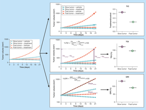 Figure 1.  Commonly used antitumor efficacy metrics.Top panel: T/C ratio. Middle panel: TGI. Bottom panel: GRI. T/C overestimates the antitumor activity of the fast-growing tumors compared with the slow-growing tumors, which significantly limits its value for predicting clinical efficacy. TGI is generally less dependent on the tumor growth rate than T/C. GRI, which is calculated by fitting all available tumor volume data first to an exponential growth function, is the least dependent on the intrinsic growth rate of the tumor.GRI: Growth rate inhibition; T/C: Tumor volume over control volume; TGI: Tumor growth inhibition.