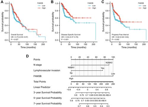 Figure 6 Prognostic value of FAM3B in OSCC patients. (A–C) Univariate survival analysis of FAM3B was performed using Kaplan-Meier curves. (D) Nomogram predicting 3‐, 5‐, and 7‐year DSS for OSCC patients in TCGA cohorts.