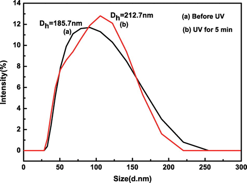 Figure 9. The hydrodynamic diameters distributions of SiO2-g-P(SPMA-co-MAA) under different light conditions.