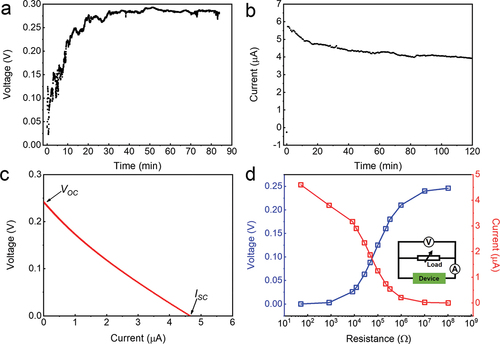 Figure 4. Electricity output of the rGO/PPy device. (a) VOC, (b) ISC and (c) I–V curve of the rGO/PPy device under environment condition. (d) Dependence of the output voltage (blue curve) and current (red curve) of the device with different load resistances. The inset displays a circuit diagram.