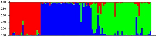 Figure 2. Division of the genetic structure of the adzuki bean population.