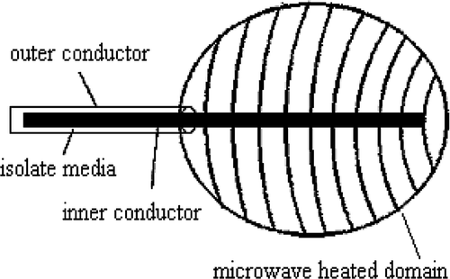 Figure 2. Diagram of microwave electrode.