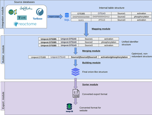 Figure 7. Workflow of building the AutophagyNet dataset. The pipeline is made up of two major modules: the integration and builder module. These are responsible for integrating and organizing the imported resources’ data. The export module converts the unified internal structure to file formats compatible with the user-friendly website.