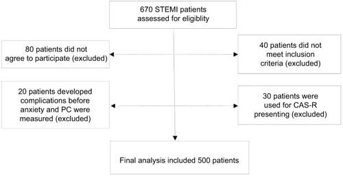 Figure 1 Patient flow diagram.