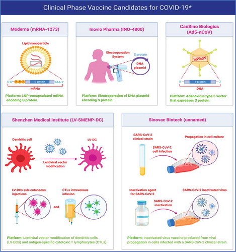Figure 6. Different vaccine candidates in clinical phase for the treatment of COVID-19. The Figure was created with “BioRender.com” template and exported under the terms of premium subscription