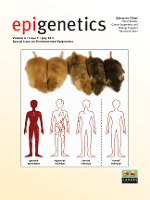 Cover image for Epigenetics, Volume 6, Issue 7, 2011