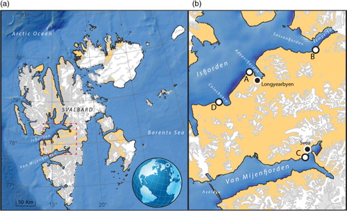 Fig. 1  (a) Svalbard; (b) the location of field sites: Vestpynten (A), Fredheim (B), Damesbukta (C) and Kapp Laila (D), with their associated fjords.