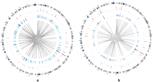 Figure 2. Distribution of significant connections between DNA methylation and transcript expression across the genome in the AYATS (2a) and PREG (2b) cohorts. The location of significant cis (red track) and trans relationships (blue track) across the genome (ideogram of human chromosomes, outer track) is shown. Bar graphs show the direction of the relationship (positive relationships are shown in the darker color) and the relative magnitude of the effect (height of bars; defined by adjusted R-squared values). Trans CpG-GE relationships often spanned chromosomes (location of associated CpG-GE pairs shown by center grey links).