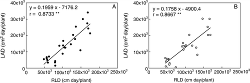 Fig. 4  Relationship between root length duration (RLD) and leaf area duration (LAD) in high (A) and low (B)-yielding soybean pools. Note: ** indicates a linear correlation coefficient significant at P < 0.05