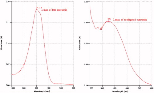Figure 2. Curcumin absorption spectra before and after conjugation practice.
