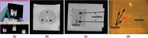 Figure 6. (a) Real-time image visualization in the Slicer interface during needle insertion; (b, c) MRI images of needle placement in the phantom; and (d) the target phantom. [Color version available online.]