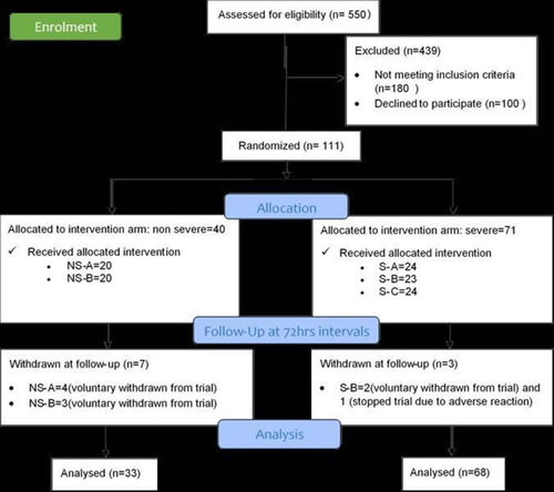 Figure 1 The study flow.