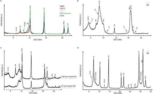 Figure 5. XRD patterns of the preferred oriented <2 µm fractions. A, A 0.5 kyr subsoil C sample showing M-HIV interstratifications as shoulders. B, The 5 kyr topsoil horizon where M-HIV interstratifications (showing a tendency towards ordering (R1) as indicated by an almost rational basal series) and I-S occur. C, The 0.06 kyr and 0.5 kyr topsoil samples showing a M-HIV interstratification, and in case of the 0.5 kyr A horizon, additional M-Chl interstratification (marked with an arrow at 4.85 Å in the 0.5 kyr A horizon only); changes upon EG solvation are due to expandable HIV layers in M-HIV. D, A 0.5 kyr subsoil C sample showing Chl-S reflections with low full-width at half-maximum values. M-HIV, mica-hydroxy-interlayered vermiculite; I-S, illite-smectite; Chl, chlorite; M-Chl, mica-chlorite; Qtz, quartz; Chl-S, chlorite-smectite; Fsp, feldspars.