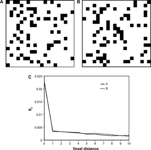 Figure 1 Two nonidentical binary images (A, B) with similar statistical properties in their nonzero voxel distribution, and their corresponding two-point correlation functions (C). The horizontal axis of the plot in C indicates the distance between voxels, and the vertical axis indicates the probability of finding two black voxels at a given distance. Because there is no spatial clustering in images A and B, S2 drops off rapidly as a function of distance in C.