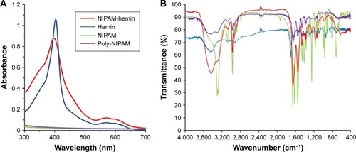 Figure 1 (A) UV-vis and (B) FTIR spectra for NIPAM-hemin (red), hemin (blue), NIPAM (green), and poly-NIPAM (MW=66,400 Da) (purple).Abbreviations: FTIR, Fourier-transform infrared; NIPAM, N-isopropylacrylamide; hemin, ferriprotoporphyrin IX chloride; MW, molecular weight.