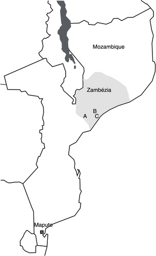 Fig. 1 A map of Mozambique, highlighting Zambézia Province and displaying the three areas (Mopeia (a), Nicoadala (b) and Quelimane (c)) where the sampling has occurred.