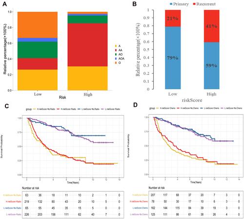 Figure 6 Clinical phenotypic differences between high and low risk score groups in CGGA cohort. (A) Differences in clinical subtypes between high and low risk score groups; (B) Comparison of recurrent and primary samples in high and low risk score groups; (C) The effect of radiotherapy on the risk score assessment of survival ability; (D) Effect of chemotherapy on the risk score assessment of survival ability.