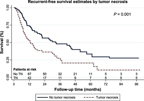 Figure 1 Recurrent-free survival curves by tumor necrosis.Abbreviation: TN, tumor necrosis.