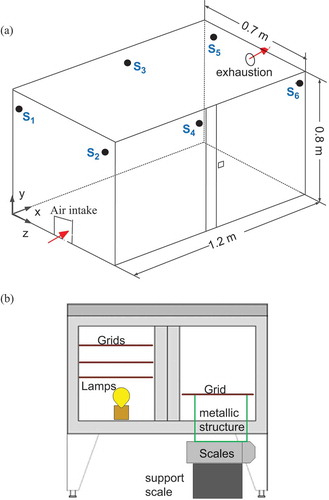 FIGURE 1 Schematic representation of the drier: (a) dimensions and placement of temperature probes and (b) front view with placement of grids, scales, and lamps.