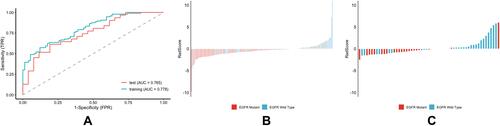 Figure 5 Performance of the predictor of EGFR mutant and EGFR wild type. (A) ROC curve of the training cohort and validation cohort. (B) RadScore of the training cohort. (C) RadScore of the validation cohort.