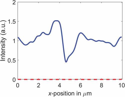 Figure 9. (Colour online) Amplitude distribution of the electric field components over the output plane for 5CB in reflection cell, Ex solid line, Ey dashed line.