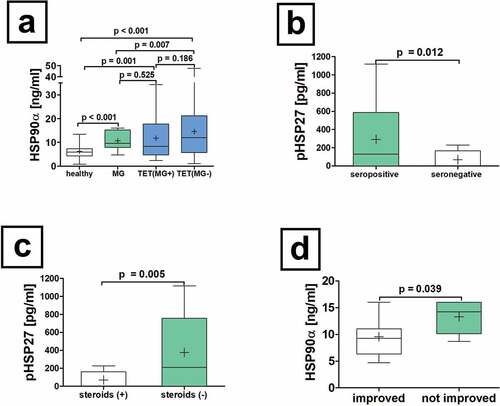 Figure 3. Serum concentrations of HSP90α in patients with non-thymomatous MG. The serum differences of HSP90α in patients with non-thymomatous MG, TET(MG+), TET (MG−) and healthy volunteers are shown (a). Further analysis of non-thymomatous MG patients according to the detection of antibodies to acetylcholine receptor antibodies (seropositive vs. seronegative is depicted (b). Moreover, the analysis of pHSP27 serum concentrations in patients with non-thymomatous MG receiving treatment with steroids is shown (c). The HSP90α serum concentration in patients improved after thymectomy and those who did not respond properly is depicted (d).