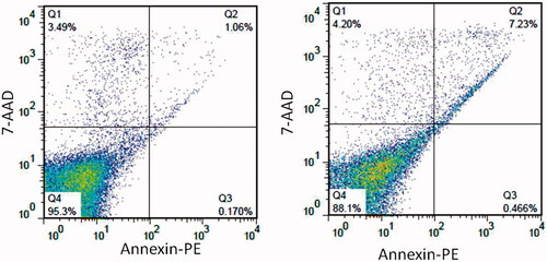 Figure 7. Two-dimensional contour density plots of WBCs cells obtained by flow cytometry-based assays. (A) Control, (B) Treated cells with CdNPs@BSA. Cell necrosis and apoptosis were measured by using 7-AAD and Annexin-V dyes.