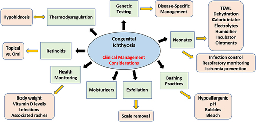Figure 1 Clinical management considerations of congenital ichthyosis. Genetic diagnosis provides information on natural history and comorbid risks as well as disease-specific management to the patient and medical care team. In green are general categories of thinking to consider, and in peach are more specific management considerations.