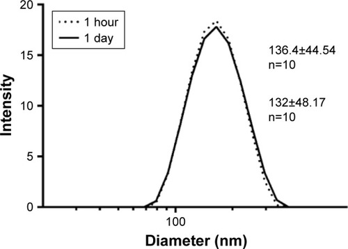 Figure 6 Stability of the budesonide particles.Note: Particle size distribution 1 hour and 1 day after synthesis.