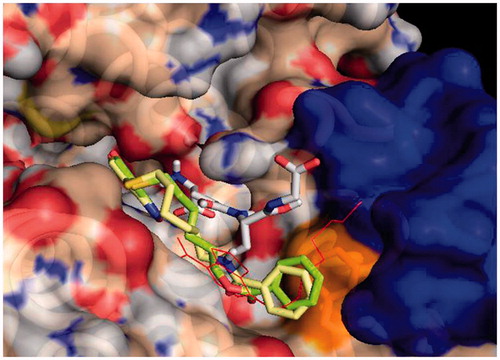 Figure 1. Protein-ligand docking analysis: best binding poses for 3 and 4. Both compounds show a similar arrangement in their lowest energy poses, with a shifted NBD moiety and the benzoyl terminal making extensive contact with Phe 8. Crystal position for 1 is shown in red lines for reference, GST is shown in surface representation, with contributions coming from Phe 8 in orange (also shown in sticks) and those from Helix 2 in blue. GSH is also shown in sticks representation.