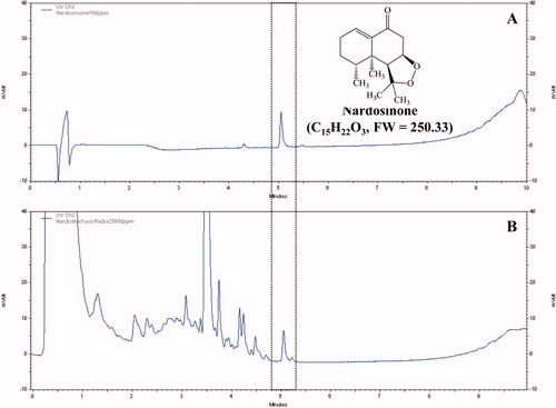 Figure 1. Identification of nardosinone in water extract of N. chinensis. (A) The peak of nardosinone was detected in the retention time 5.051 min and (B) it was also observed in the extract of N. chinensis with same retention time.