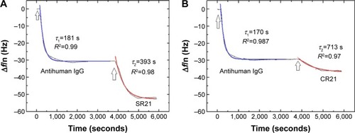 Figure 7 Kinetic study on adsorption of IgG to Au-coated QCM-D sensors and subsequent binding of positive complex (A) and negative complex (B) for overtone seven.Notes: The solid lines represent the fits to EquationEquation 1Δf=Δf0+Ae−tτ(1) : Δf = Δf0 + Ae−1/τ. The arrows indicate the time of addition of the sample.Abbreviations: QCM-D, quartz crystal microbalance with dissipation monitoring; A, amplitude; τ, time constant.