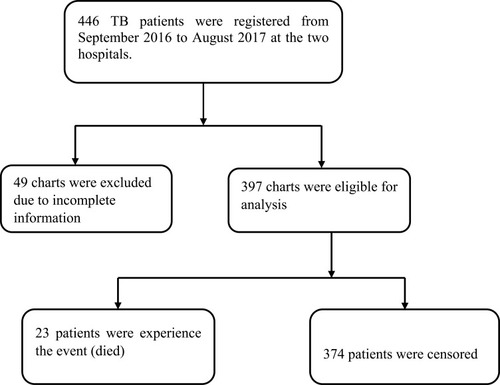 Figure 1 Flow chart showing the selection of Tuberculosis patients at Adigrat general and Wukro hospitals in Eastern Zone, Tigray region, Ethiopia, September 2016–August 2017.