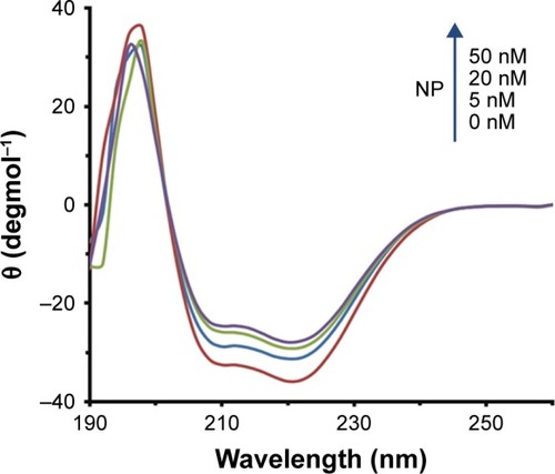 Figure 8 Ellipticity changes of HSA (5 µM) in the presence of varying concentrations of MgO NPs (5, 20, and 50 nM) in the far UV region.Abbreviations: HSA, human serum albumin; MgO NPs, magnesium oxide nanoparticles.