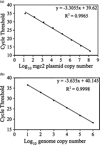 Figure 1.  Linearity of standard curve. 1a: Standard curve based on mgc2 plasmid. 1b: Standard curve based on M. gallisepticum genomic DNA.